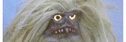Neeko! 1312 banner