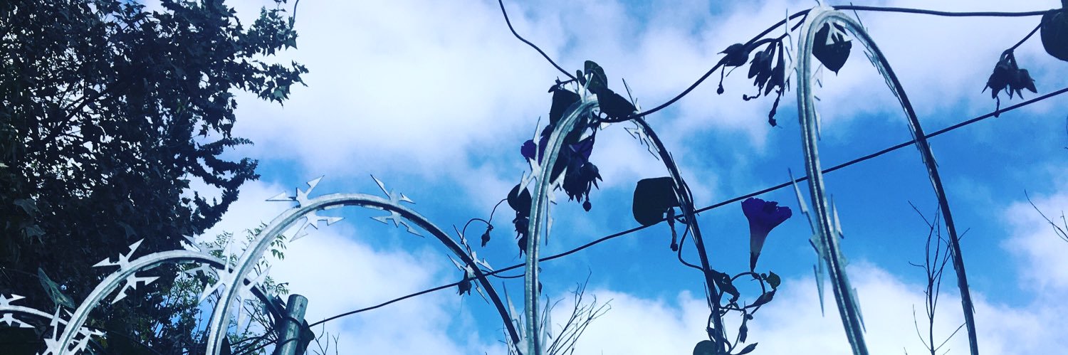 Titcardenas's profile banner image