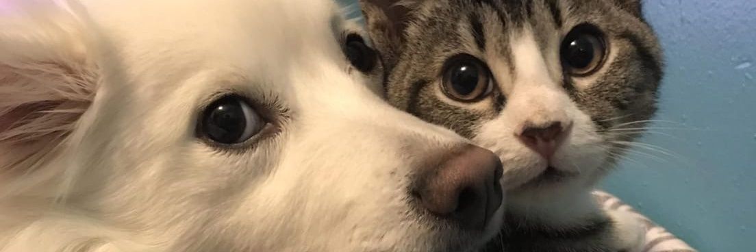 boomrainbow06's profile banner image