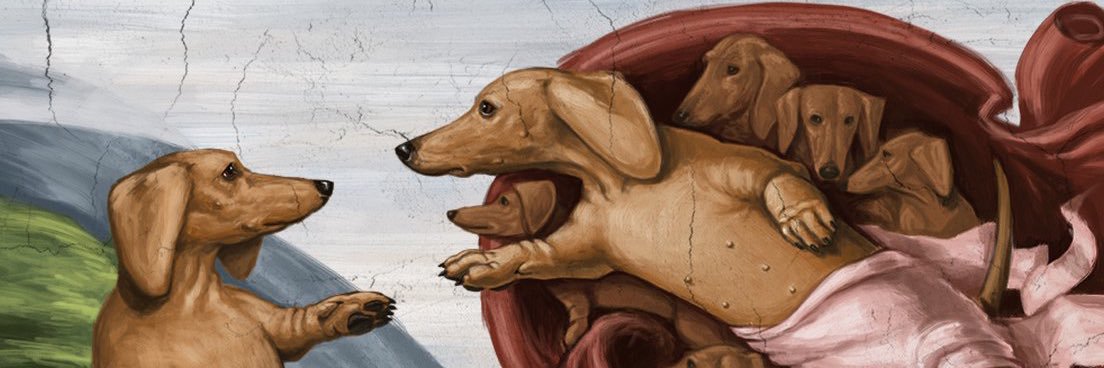 jamilierodrigs's profile banner image