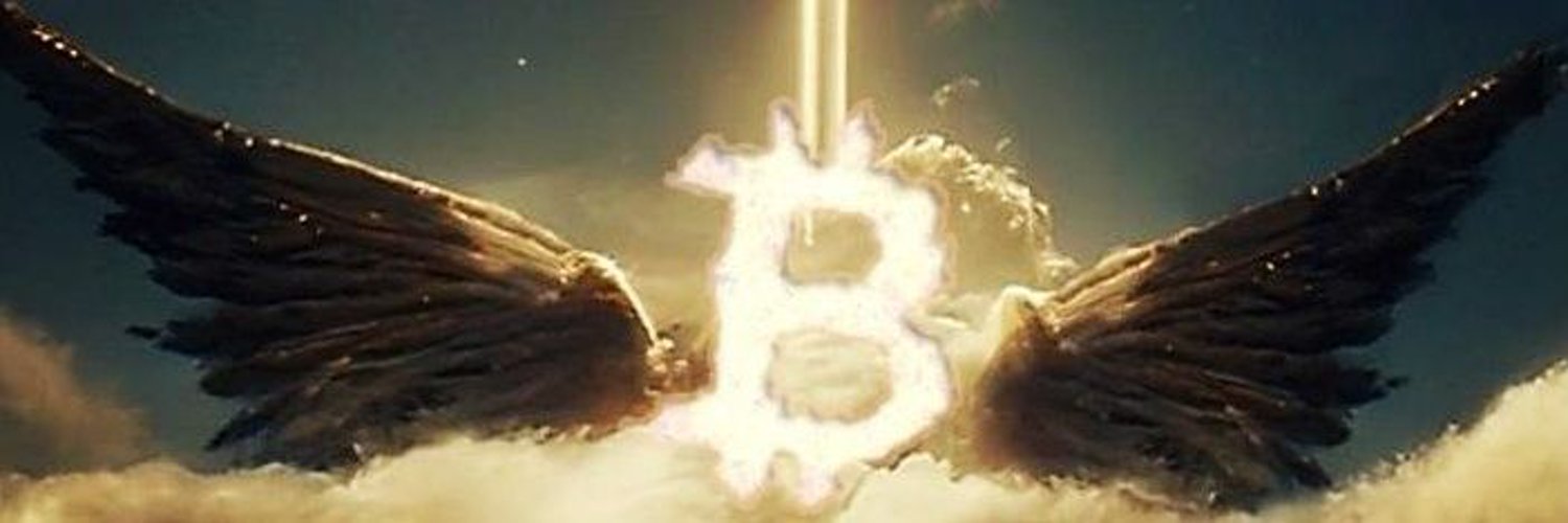 Sandro Fernandes🇧🇷 banner