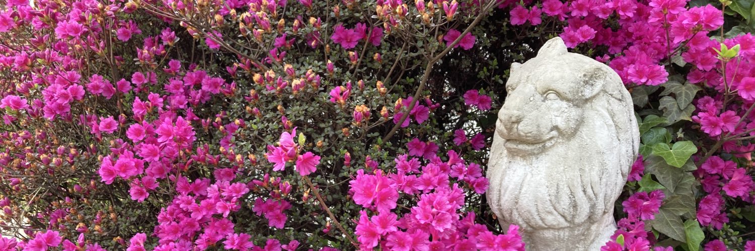 BrynaZumer's profile banner image