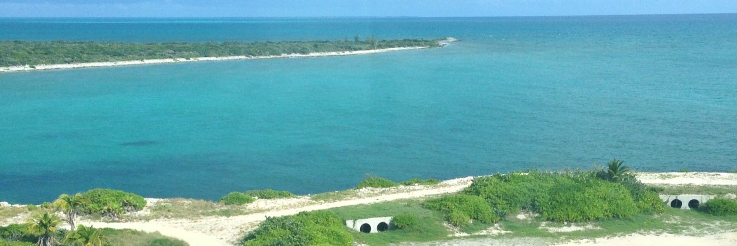 Chris Royston banner