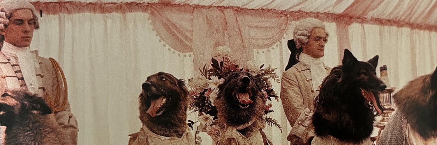 relazrieli's profile banner image