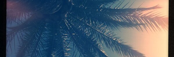 MsAirback's profile banner image