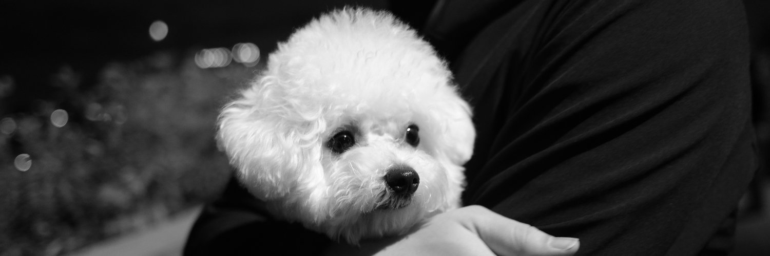 kkkimcj's profile banner image