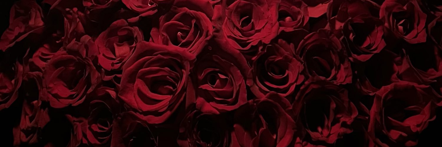 zaalomran's profile banner image