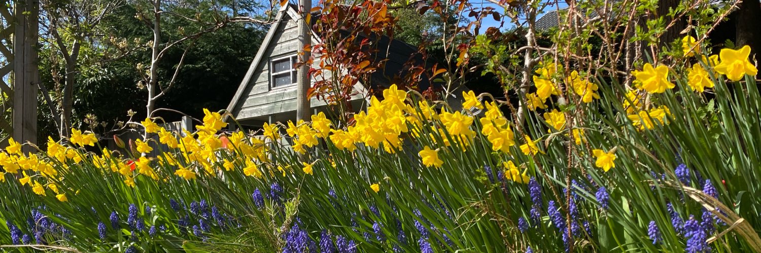 Jodie Kendrick banner