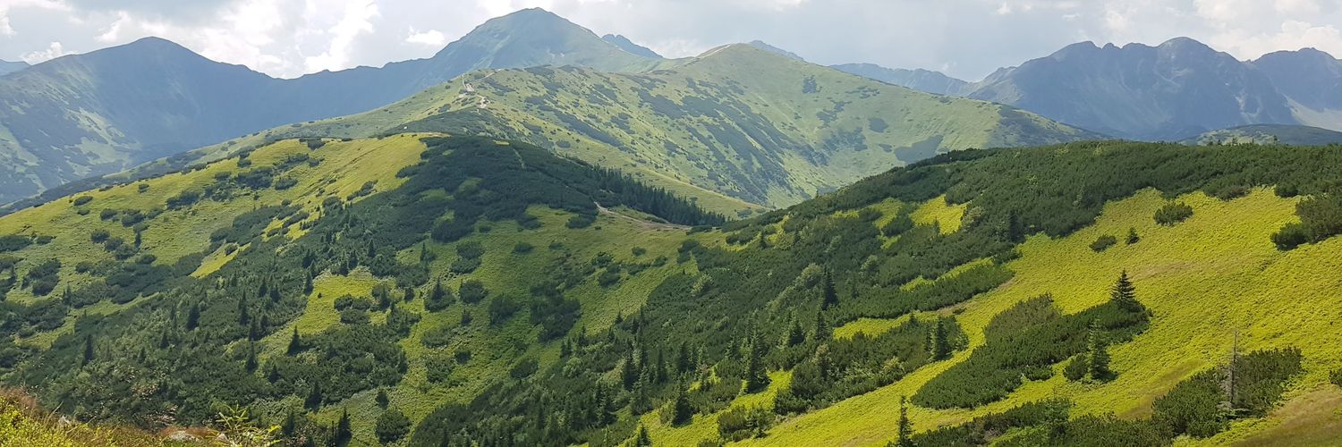 snowosinska's profile banner image