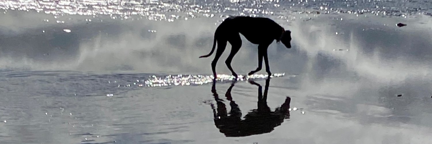 peterhick's profile banner image