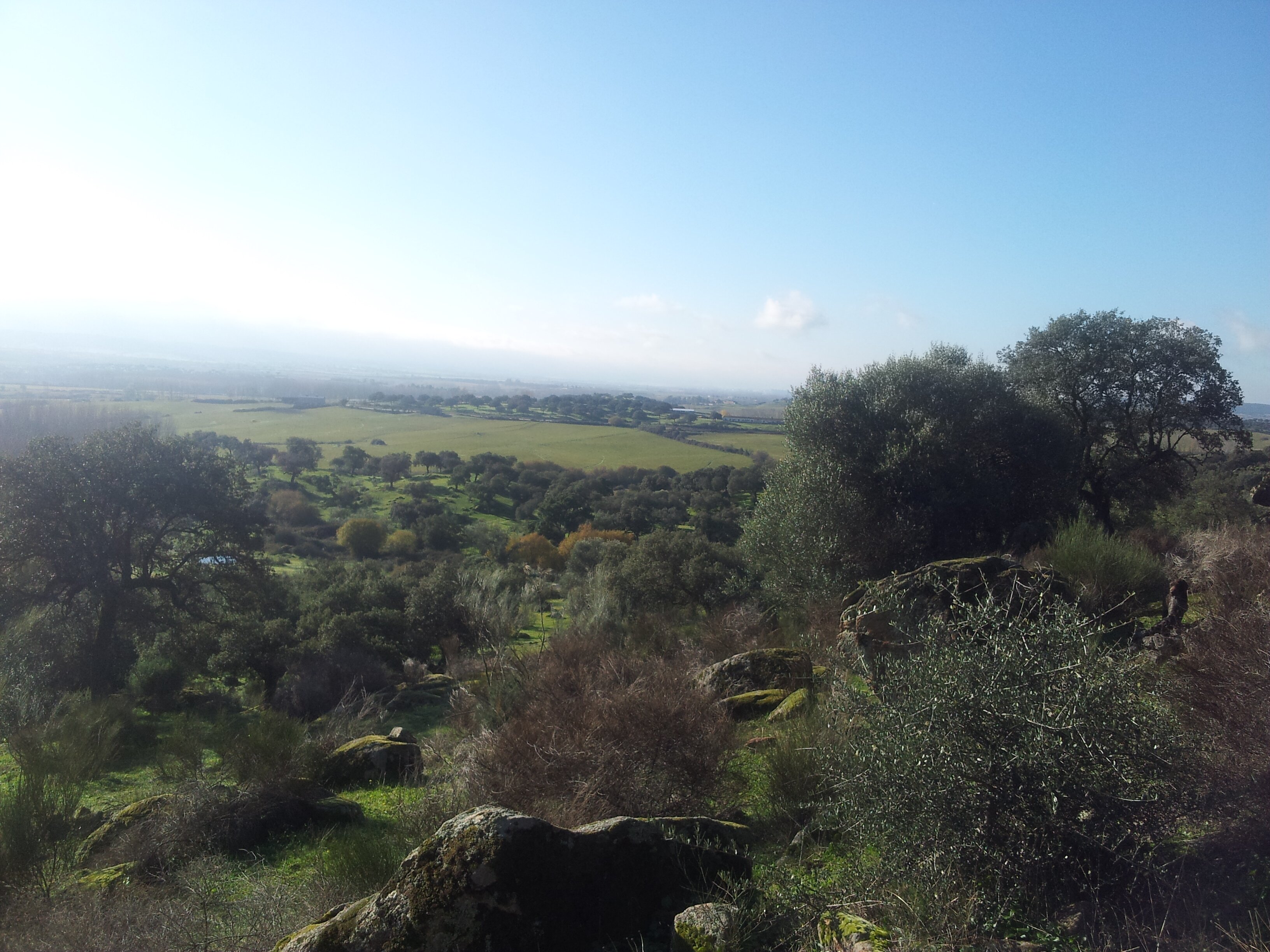 saray_bc's profile banner image