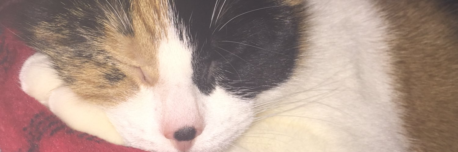 KellyLePugh's profile banner image