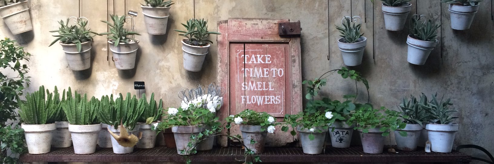 Maiah Johnson Dunn banner