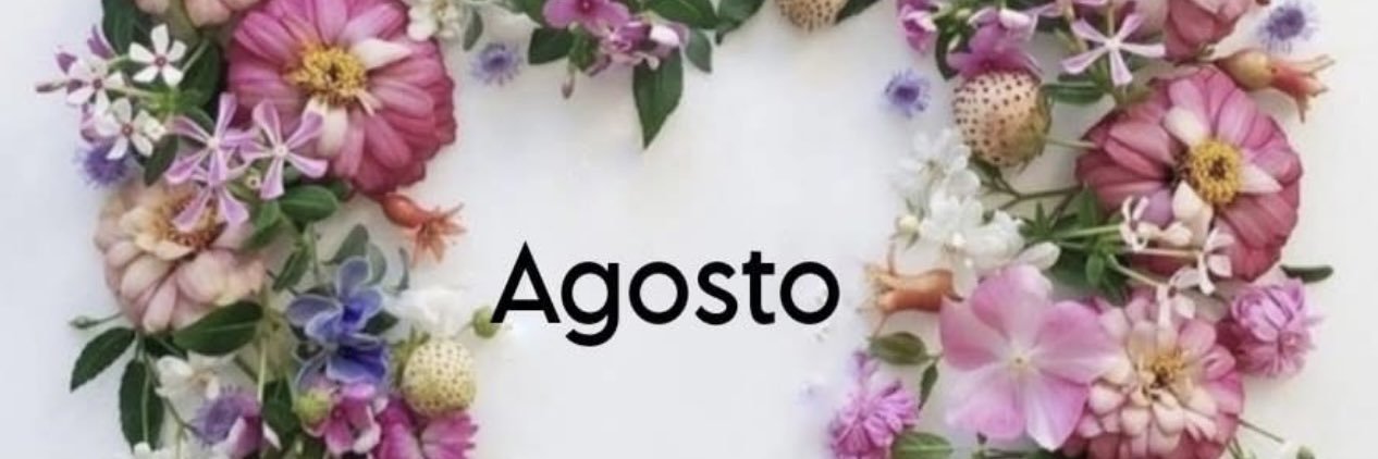 tweetsdamaria's profile banner image
