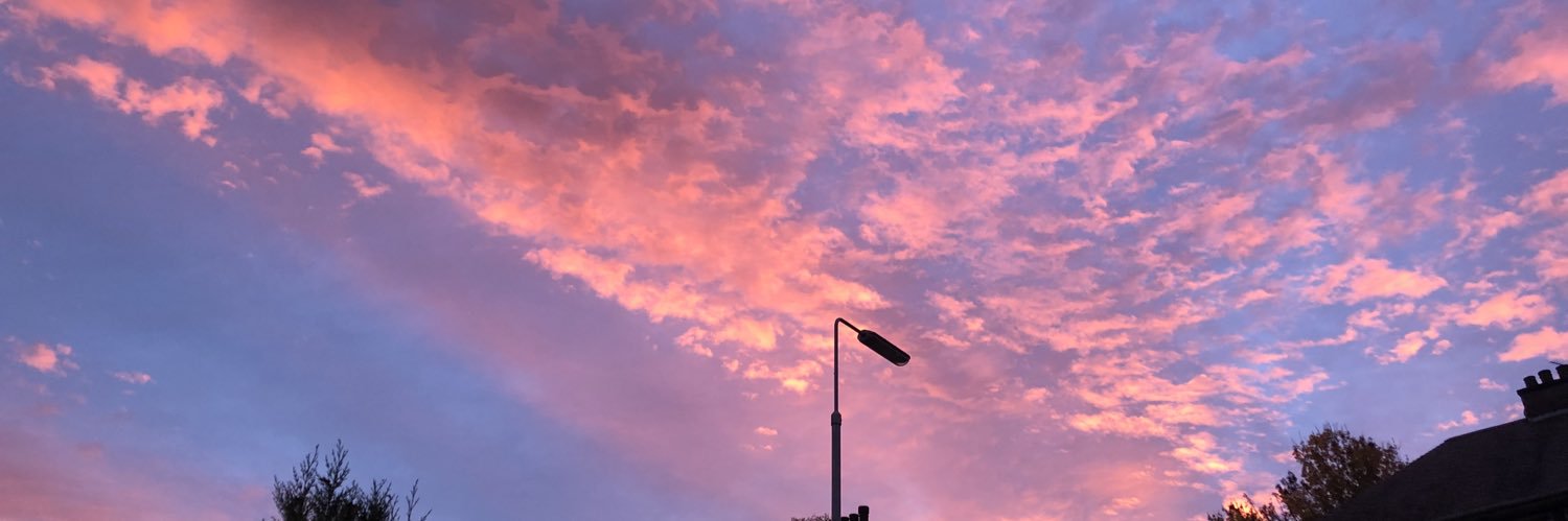 Steven Mitchell banner