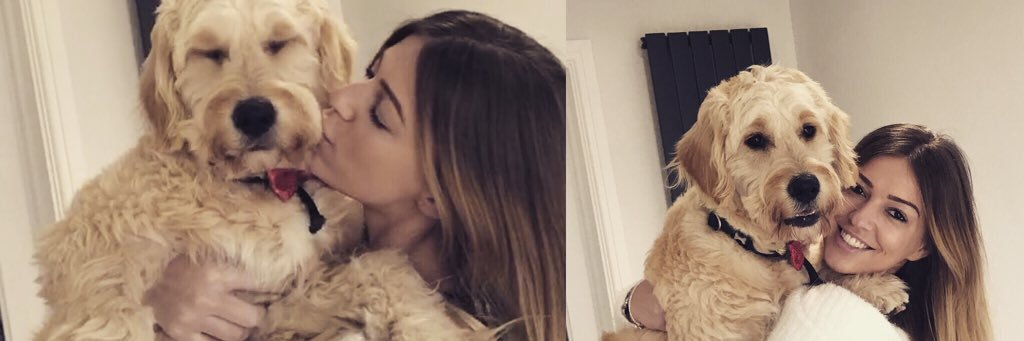 hollygee19's profile banner image