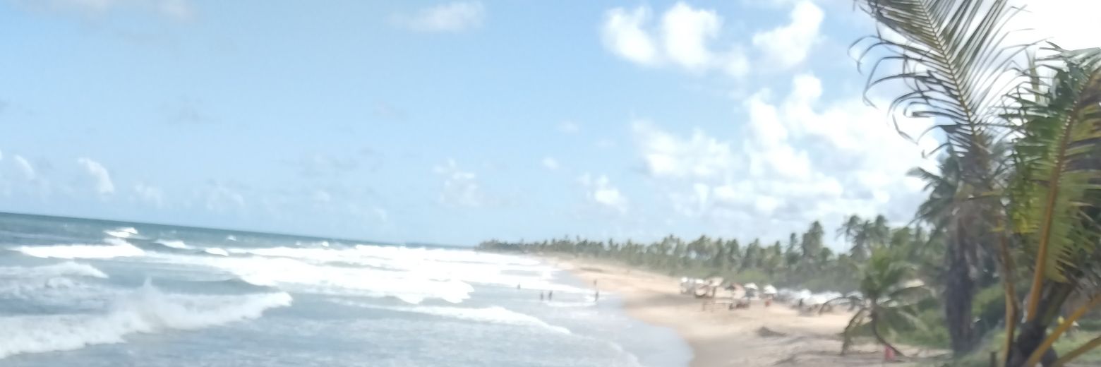 robertobolim's profile banner image