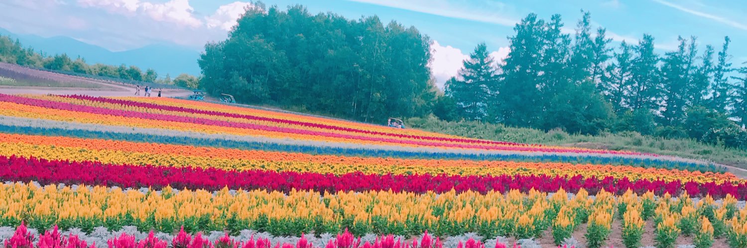 Rabuiku73's profile banner image