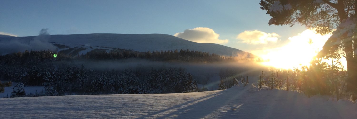 norsett's profile banner image