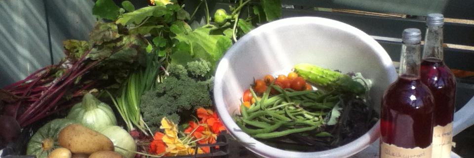 TopazKitchen's profile banner image