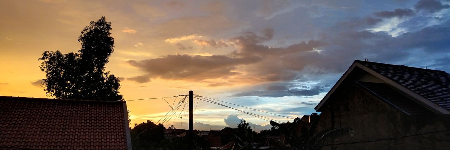 viera salasviana .m. banner