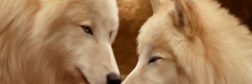Gentle_58's profile banner image
