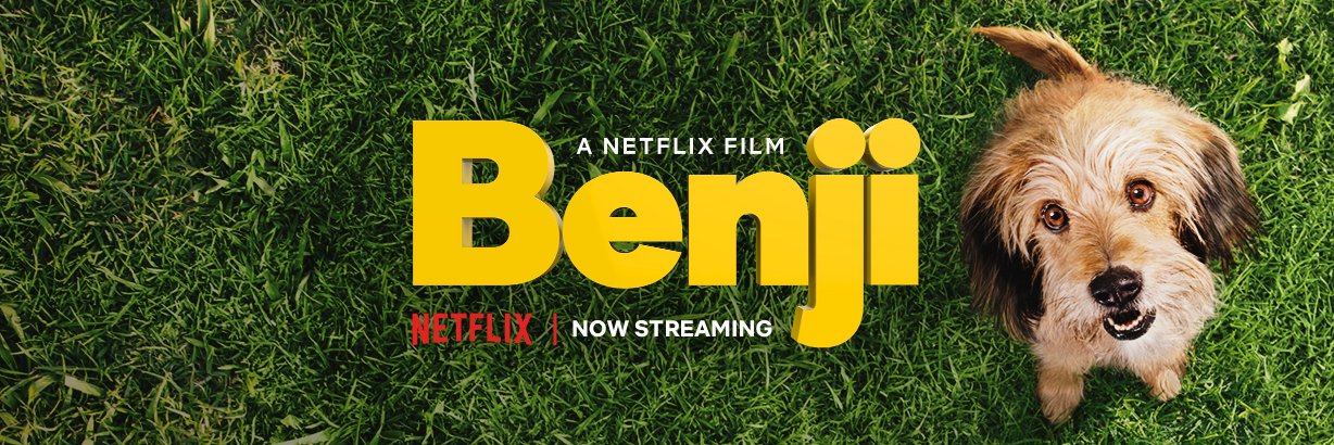Benji banner