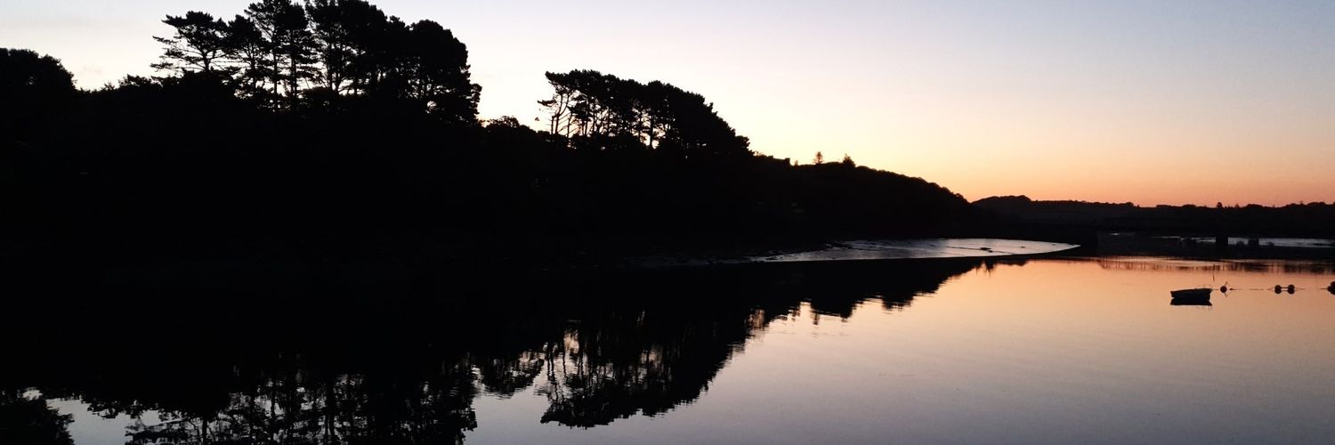 EnoraMao's profile banner image
