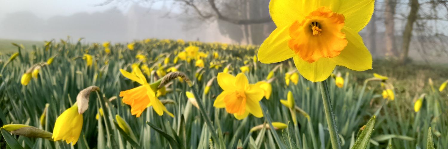 PhilippaWood4's profile banner image