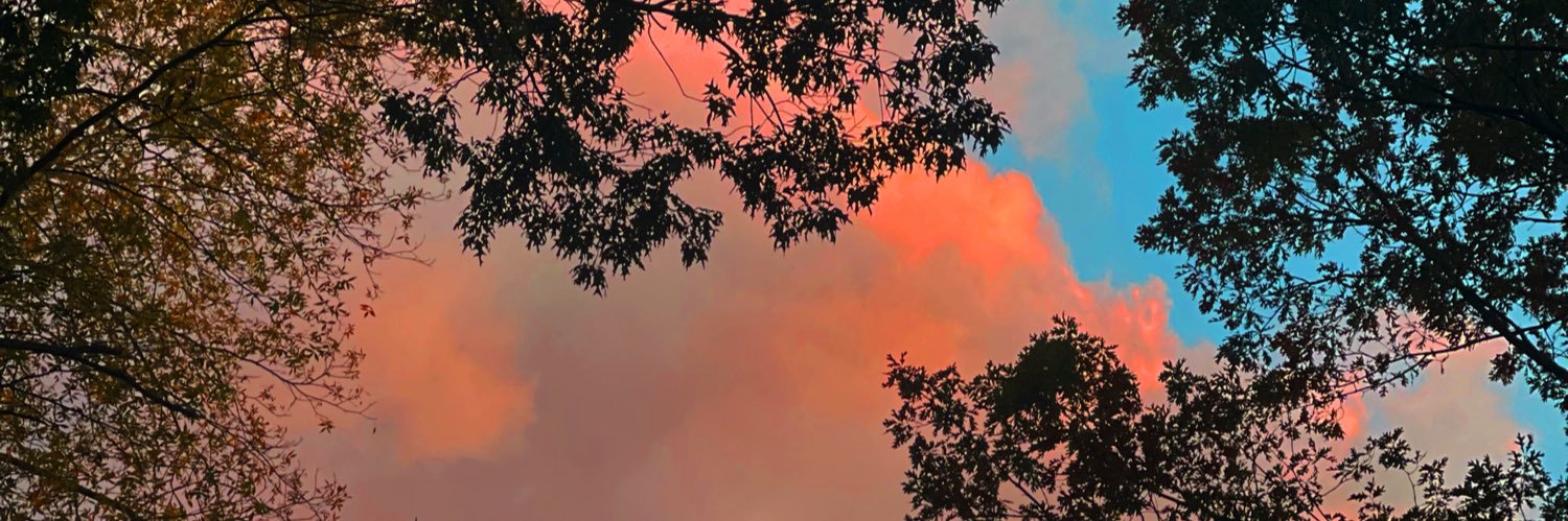 ThomasMSprenger's profile banner image