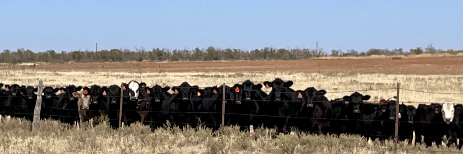 Wayne Cleveland banner