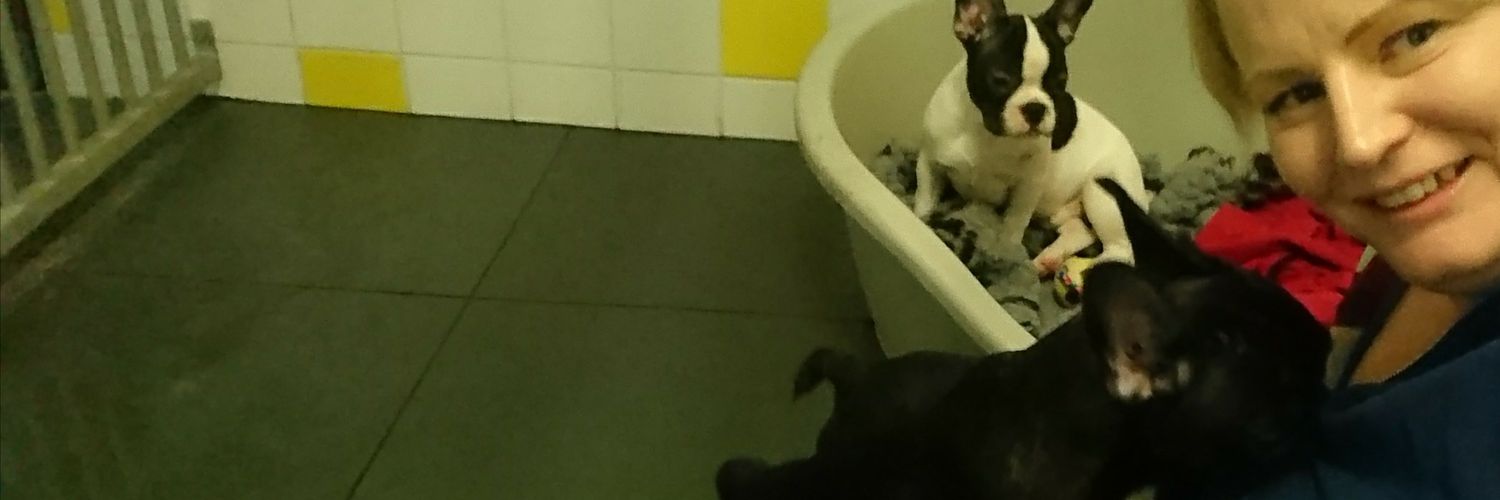 penguingirl22's profile banner image