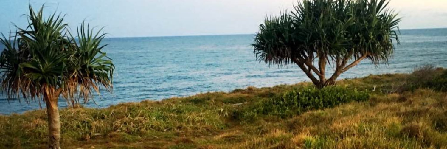 DurheimTracy's profile banner image