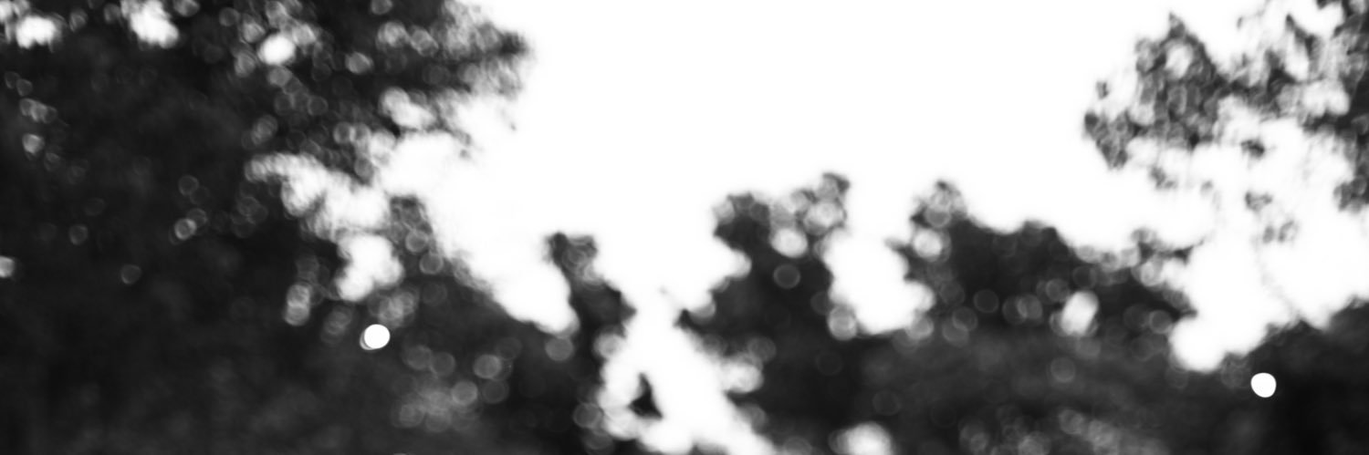 AdaniLR's profile banner image