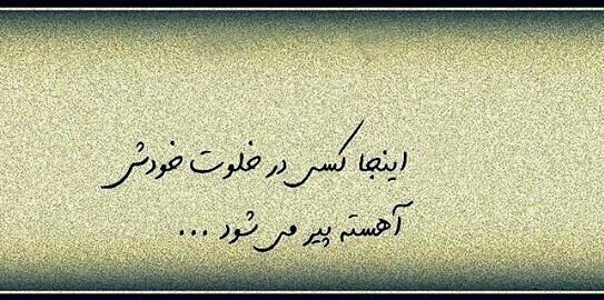 mshouhani's profile banner image