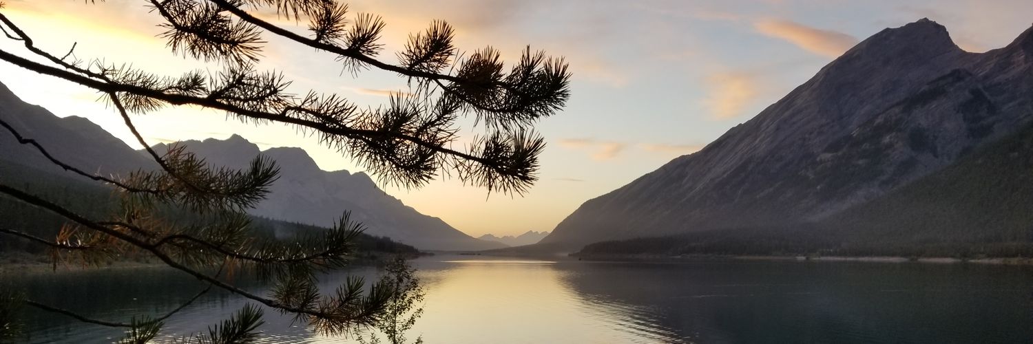 lisamonforton's profile banner image