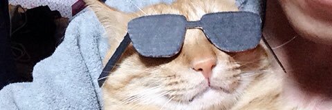 EMALTER7's profile banner image