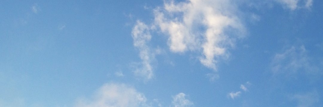 _nedd_'s profile banner image
