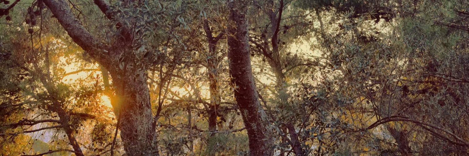 JordanN145's profile banner image