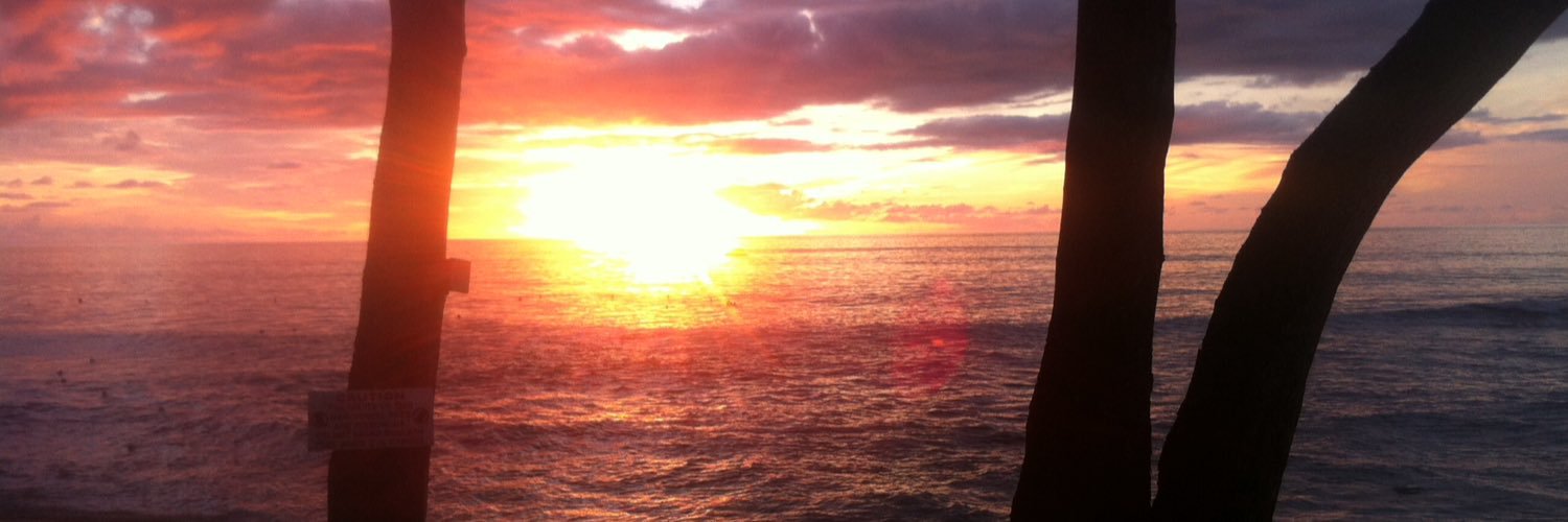 NickTheHorse's profile banner image