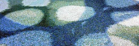 Grant David Gillham 🛩🔫🇺🇸🇲🇽🏍🟢🌊🏌️‍♂️⛳🎸🐎 banner