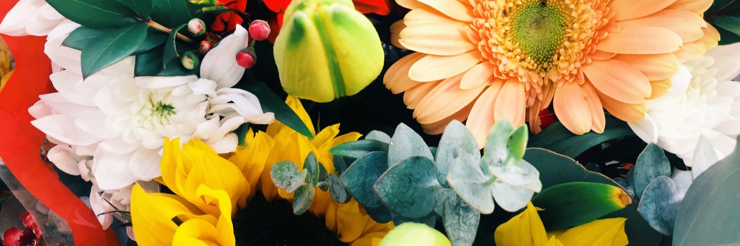 JessicaNorth_'s profile banner image