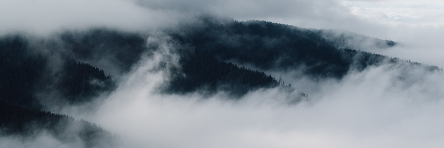 davegurley's profile banner image