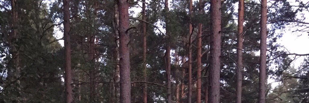 HHenriksson's profile banner image