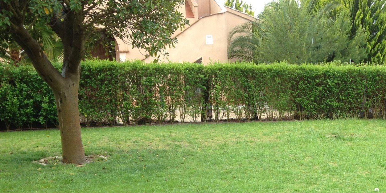 Irina Castillo banner