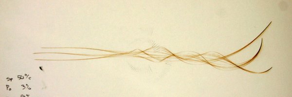 ZachKron Profile Banner