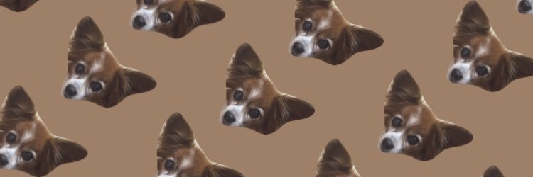 MsCharo's profile banner image