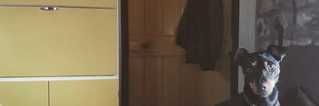 OrkneySoose's profile banner image