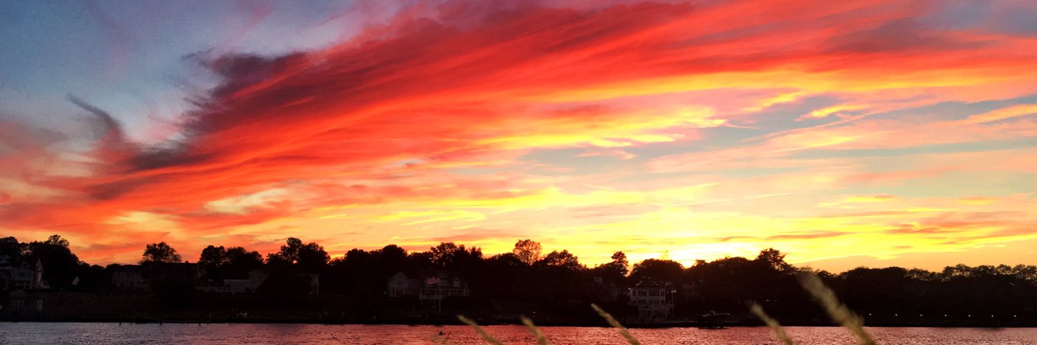 SusanBelfer's profile banner image