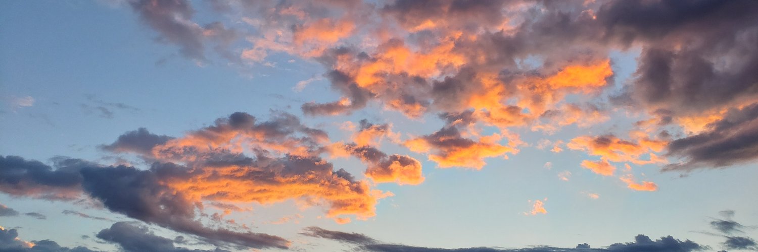 Matthew D. Hunt banner